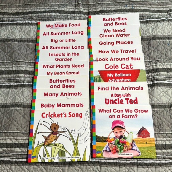 21 BENCHMARK EDUCATION “READY TO ADVANCE” BOOKS - KINDERGARTEN LEVEL - Picture 1 of 1